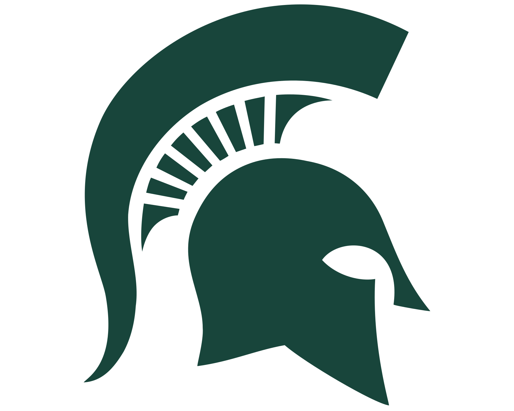 Michigan State